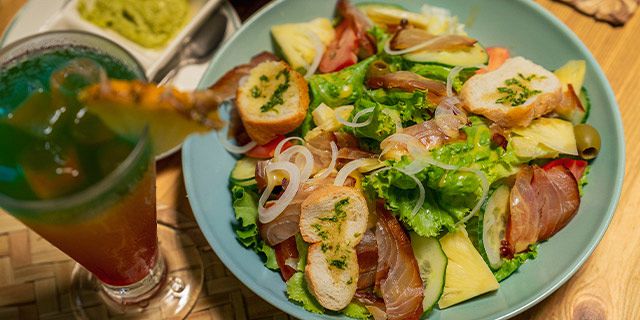 Crocodile giant tortoises park nature reserve (18)